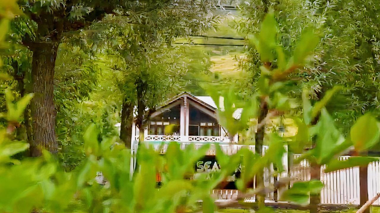 Six Seasons Pahalgam Pahalgām Exteriör bild